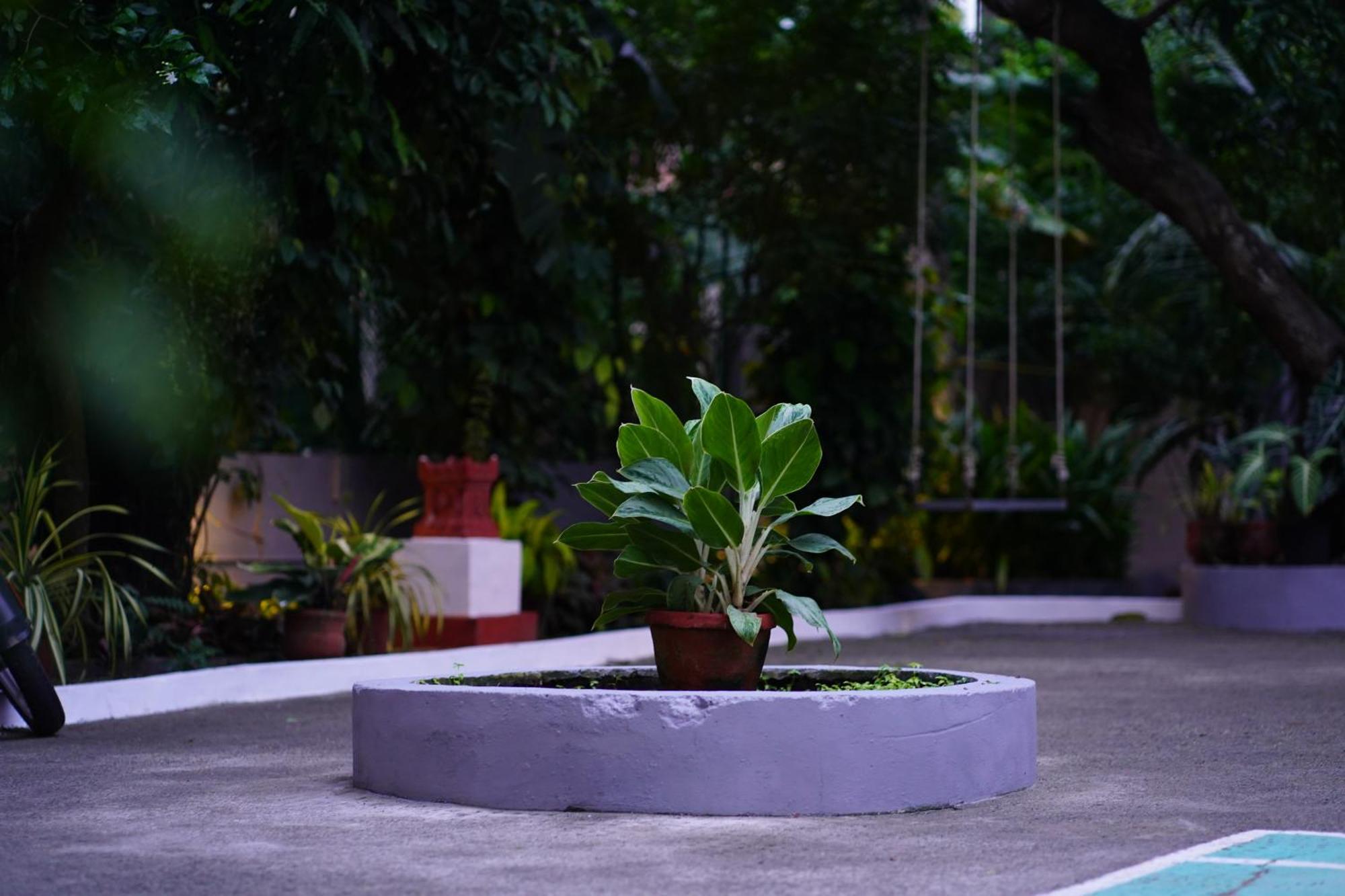 Remasailam Homestay - Thiruvananthapuram , Calm & Blend With Nature Exterior photo